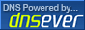 DNSEver